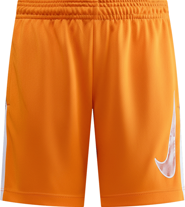 Nike Trophy23 Big Kids' Dri-FIT Shorts