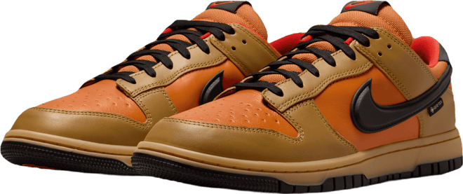 Nike Dunk Low GORE-TEX Scarpa – Uomo