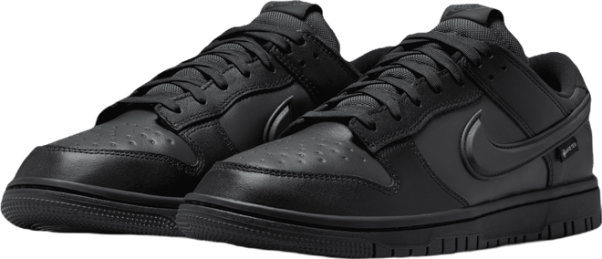 Nike Dunk Low GORE-TEX Men's Shoes