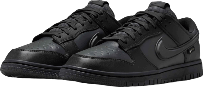 Nike Dunk Low GORE-TEX Men's Shoes