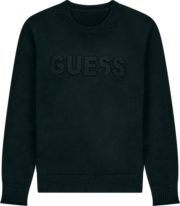 Men's 3D Logo Crewneck Sweater