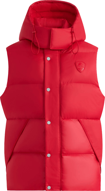 Men's Channel Quilted Puffer Vest