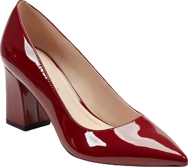 Women's Zala Pointy Toe Block Heel Pumps