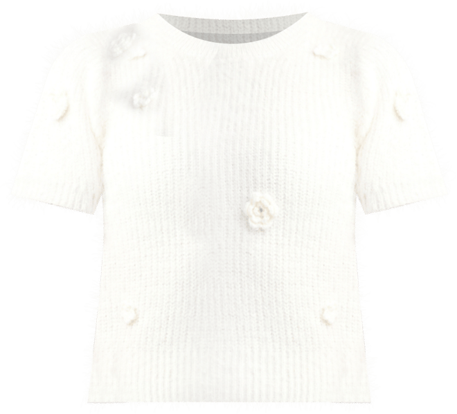 Women's Short Sleeve Crew Neck Sweater