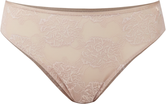 Women's Full Bloom Sheer Mesh Hi-cut Brief