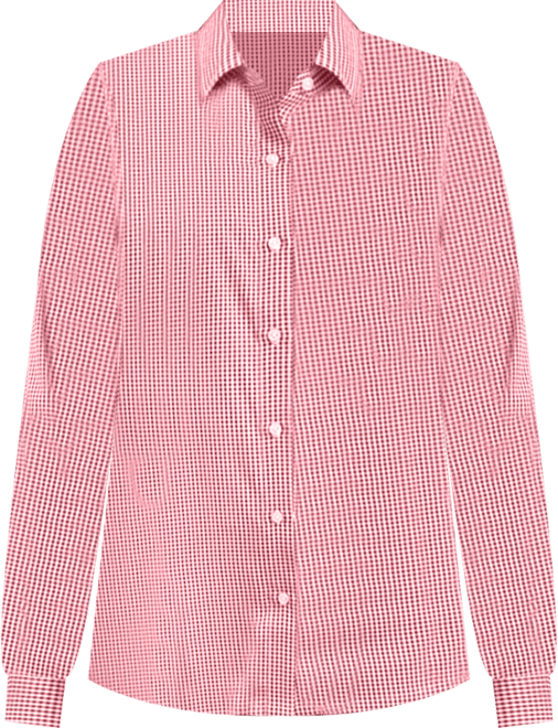 Skyline Epic Confidence Recycled Gingham Womens Long Sleeve Dress Shirt