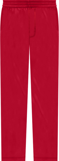 Air Jordan Pants deportivos para hombre