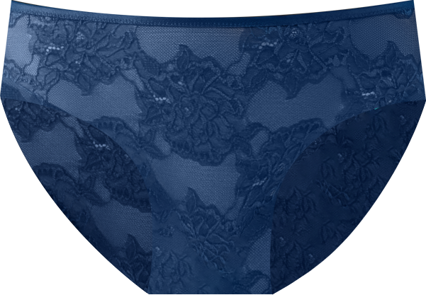 Women's Full Bloom Sheer Mesh Hi-cut Brief