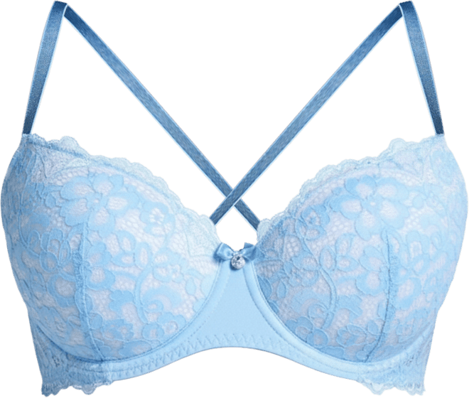 Women's Marine Padded Underwired Bra