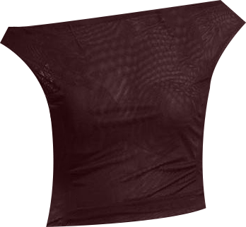 Women's Gathered Mesh Off Shoulder Top