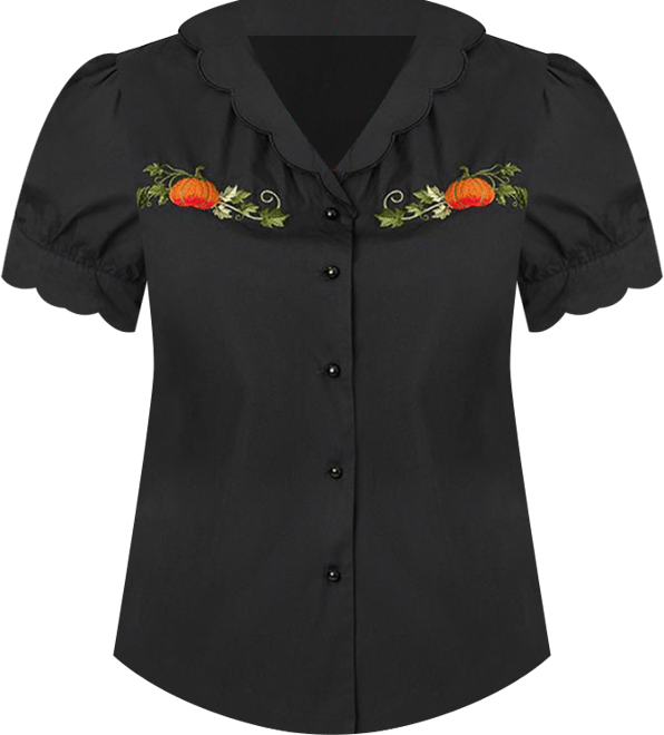 Plus Size Embriodered Puff Sleeve Top