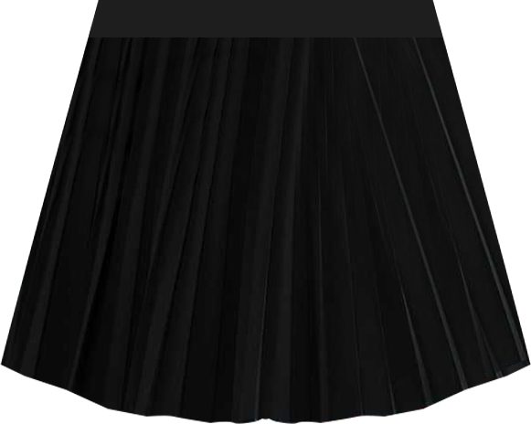 Nike Sportswear Women's Pleated Skirt