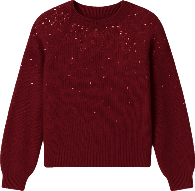 Women's Cozy Crewneck Sequined Raglan-Sleeve Sweater