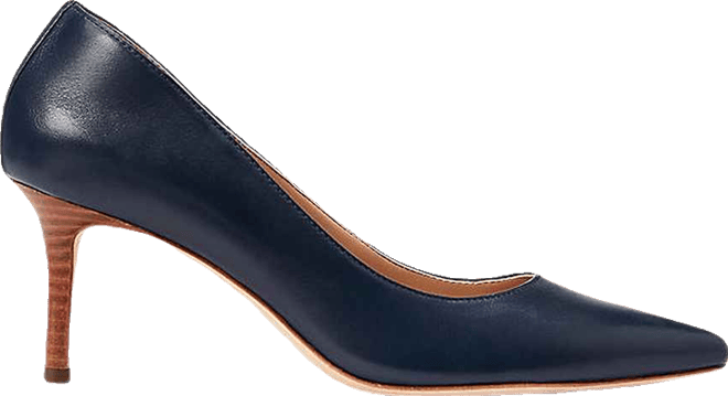 Women's Lanette Pointed Toe Pumps