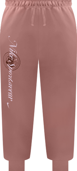 Plus Size Sportswear Club Fleece Mid-Rise Graphic Pants