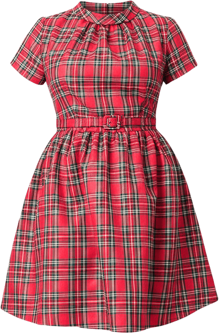 Plus Size Flare Dress