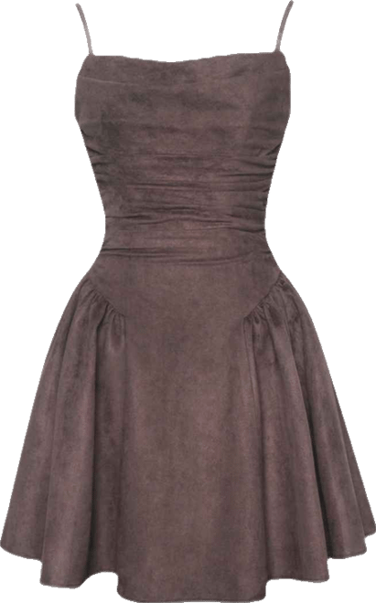 Women Raisa Mahogany Suede Ruched Mini Dress