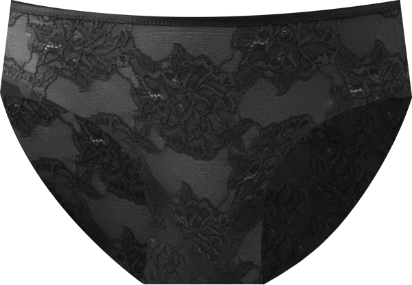 Women's Full Bloom Sheer Mesh Hi-cut Brief