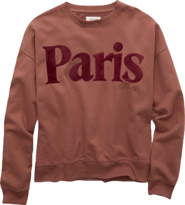 AE Velvet Graphic Crew Neck Sweatshirt