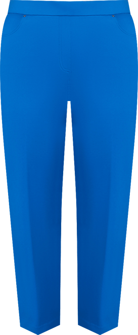 Plus Size Barcelona Stretch Ponte Knit Average Length Pant