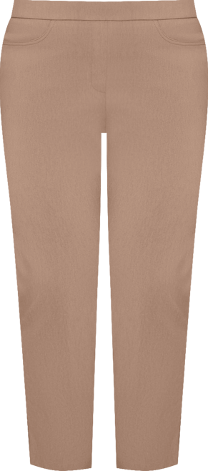 Plus Size Vienna Smooth Front Easy Fit Average Length Pant