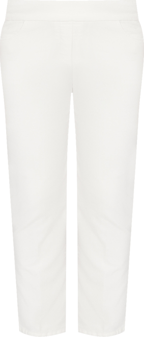 Plus Size Vienna Allure Fit Flat Front Corduroy Average Length Pant