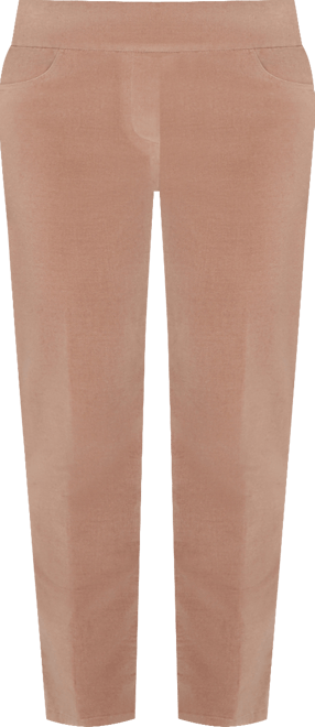 Plus Size Vienna Allure Fit Flat Front Corduroy Average Length Pant