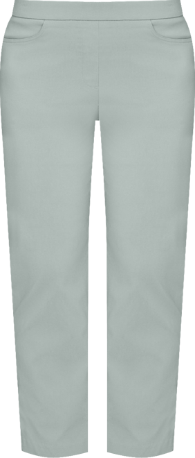 Plus Size Stockbridge Modern Millennium Short Length Pant