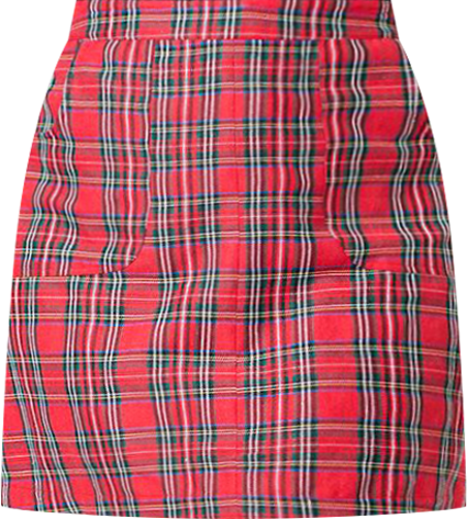Plus Size A-Line Mini Skirt