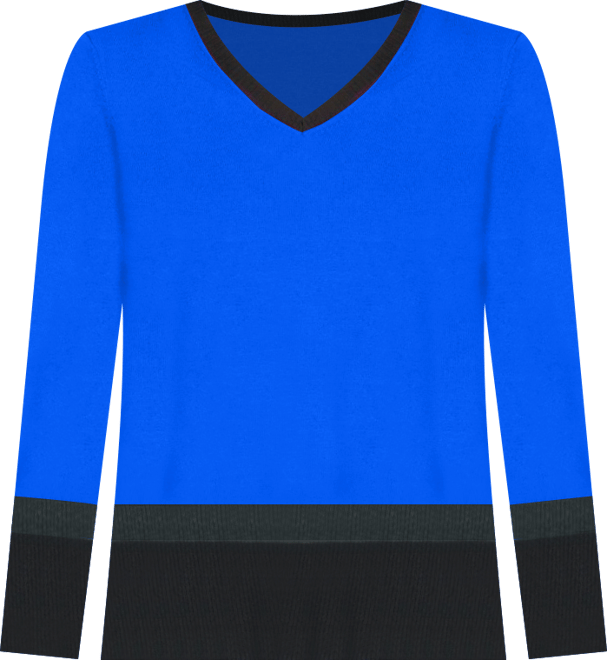 Women's Colorblock V-Neck Rib Tunic Sweater