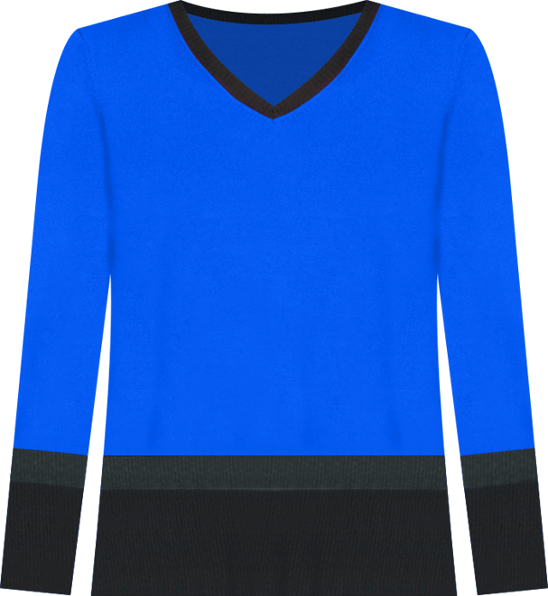 Women's Colorblock V-Neck Rib Tunic Sweater