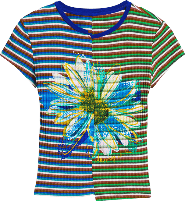 Women's Striped daisy T-shirt