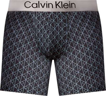 Men's Brushed Microfiber Stretch Boxer Brief