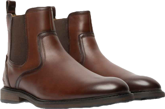 Men's Dargaville Chelsea Boot