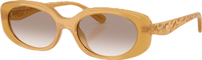 Women's Oval Sunglasses, CBY84 HC8443D