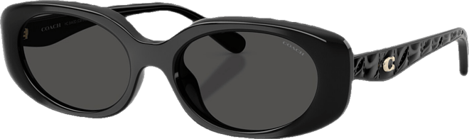 Women's Oval Sunglasses, CBY84 HC8443D