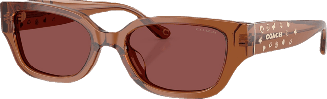 Women's Rectangle Sunglasses, CBZ52 HC8439U