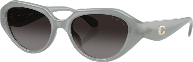 Women's Polarized Sunglasses, CBY77 HC8433U