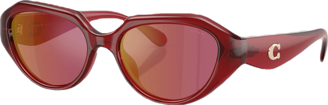 Women's Geometric Sunglasses, CBY77 HC8433U