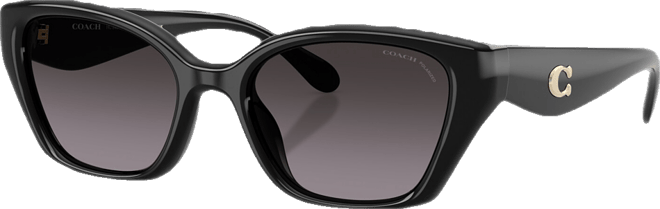 Women's Polarized Sunglasses, CBY91 HC8434U