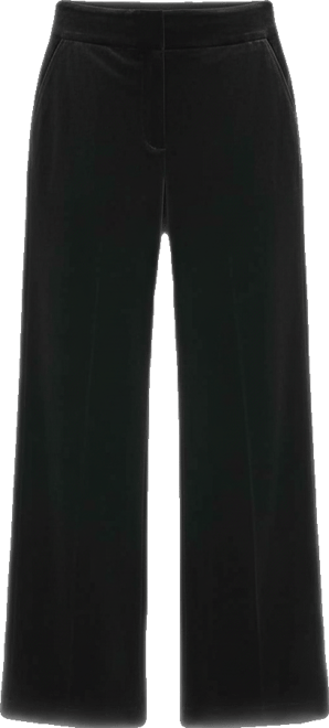 Petite Wide Leg Mid-Rise Pants