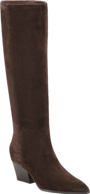 Women's Tarrie Tall Pointy Toe Dress Boots