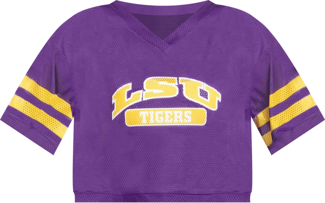 Women's Purple Lsu Tigers Mesh Cropped V-Neck T-Shirt