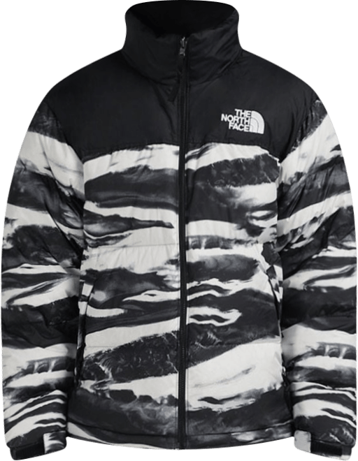 Shop The North Face 1996 Retro Nuptse Jacket NF0A8D16-DJI white