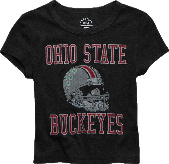 Ohio State Buckeyes Women's Vintage T-Shirt - Gray Block Logo Tee
