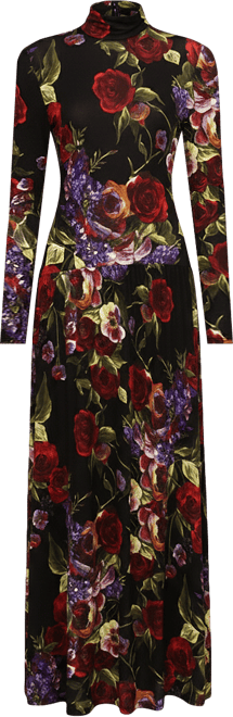 Women's Long Sleeves Printed Maxi Dress