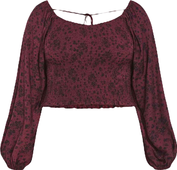 Plus Size Abbie Floral Print Top