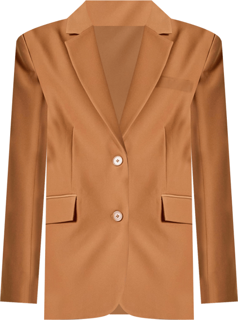 Women's Everyday Oversize 2 button Blazer