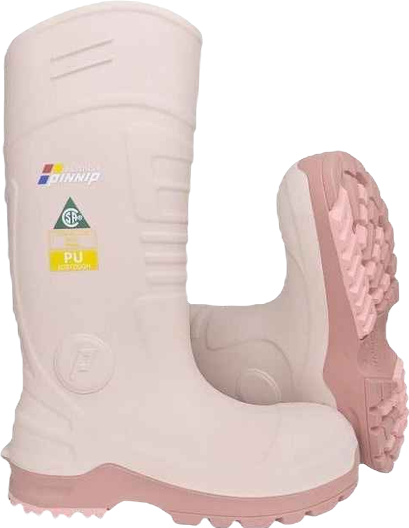 Women's Csa Approved Safety Boots
