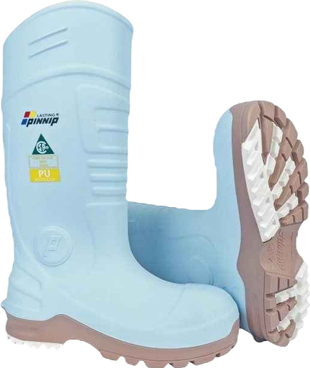 Women's Csa Approved Safety Boots